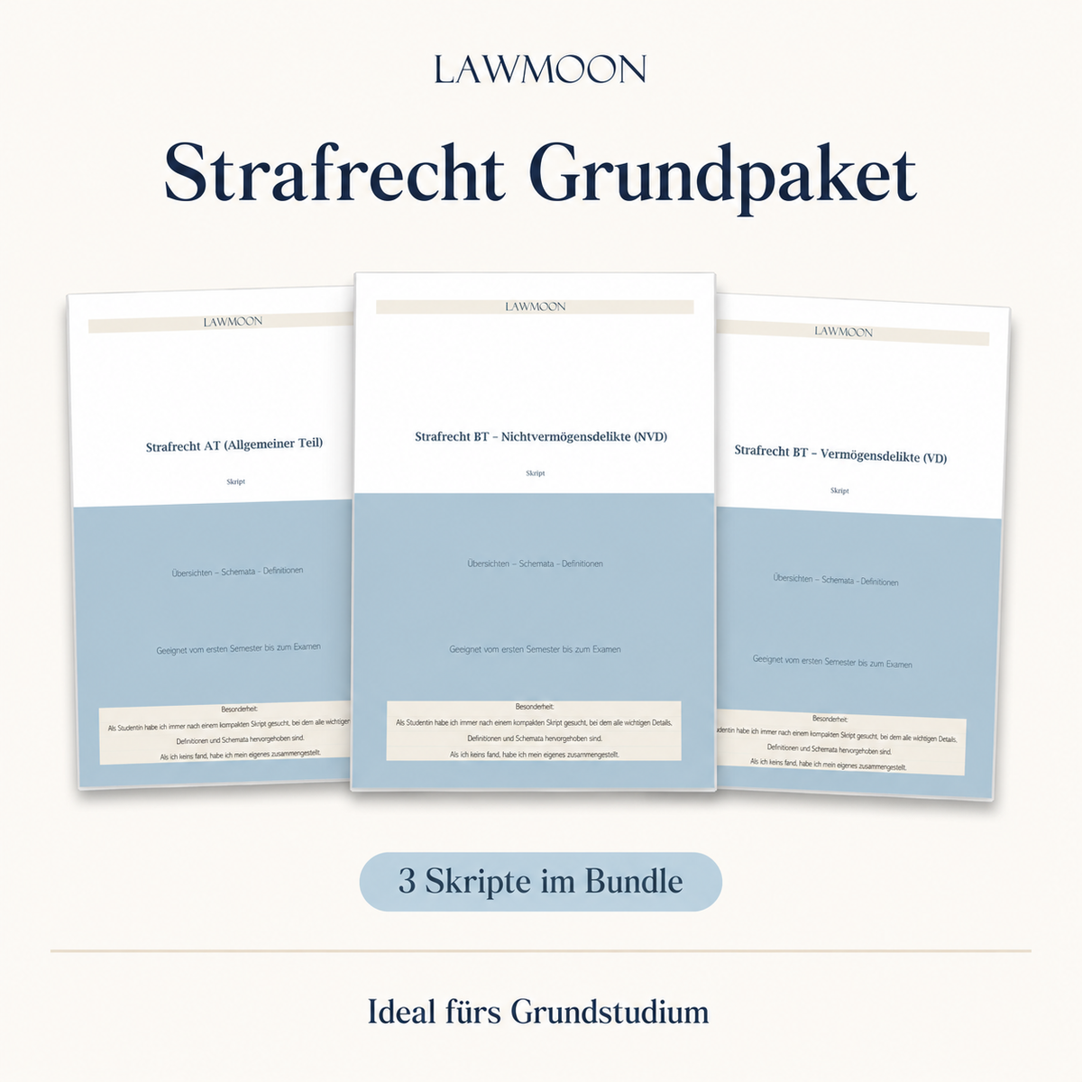 Strafrecht Grundpaket, Strafrecht Allgemeiner Teil Strafrecht Besonderer Teil Vermögensdelikte Nichtvermögensdelikte 