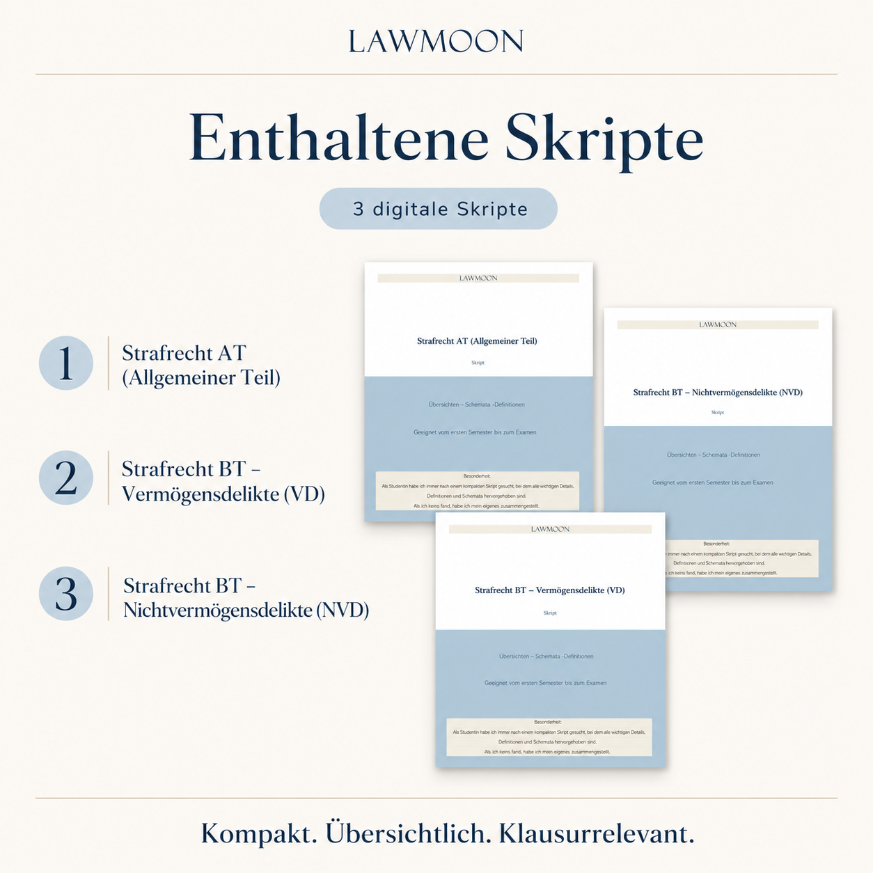 Strafrecht Grundpaket, Strafrecht Allgemeiner Teil Strafrecht Besonderer Teil Vermögensdelikte Nichtvermögensdelikte 